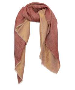 Zari Pashmina Shawl - Red and Golden