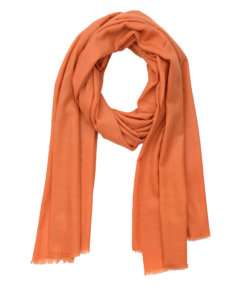 Kiara Pashmina Shawl - Carrot