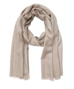 Kiara Pashmina Shawl - Cream