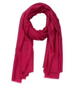 Kiara Pashmina Shawl - Magenta